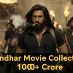 Dhurandhar Box Office Collection